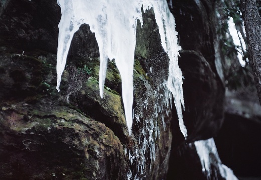 Ice on the Sheltowee Trace